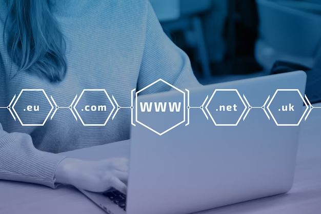 World Wide Web with popular international domains.